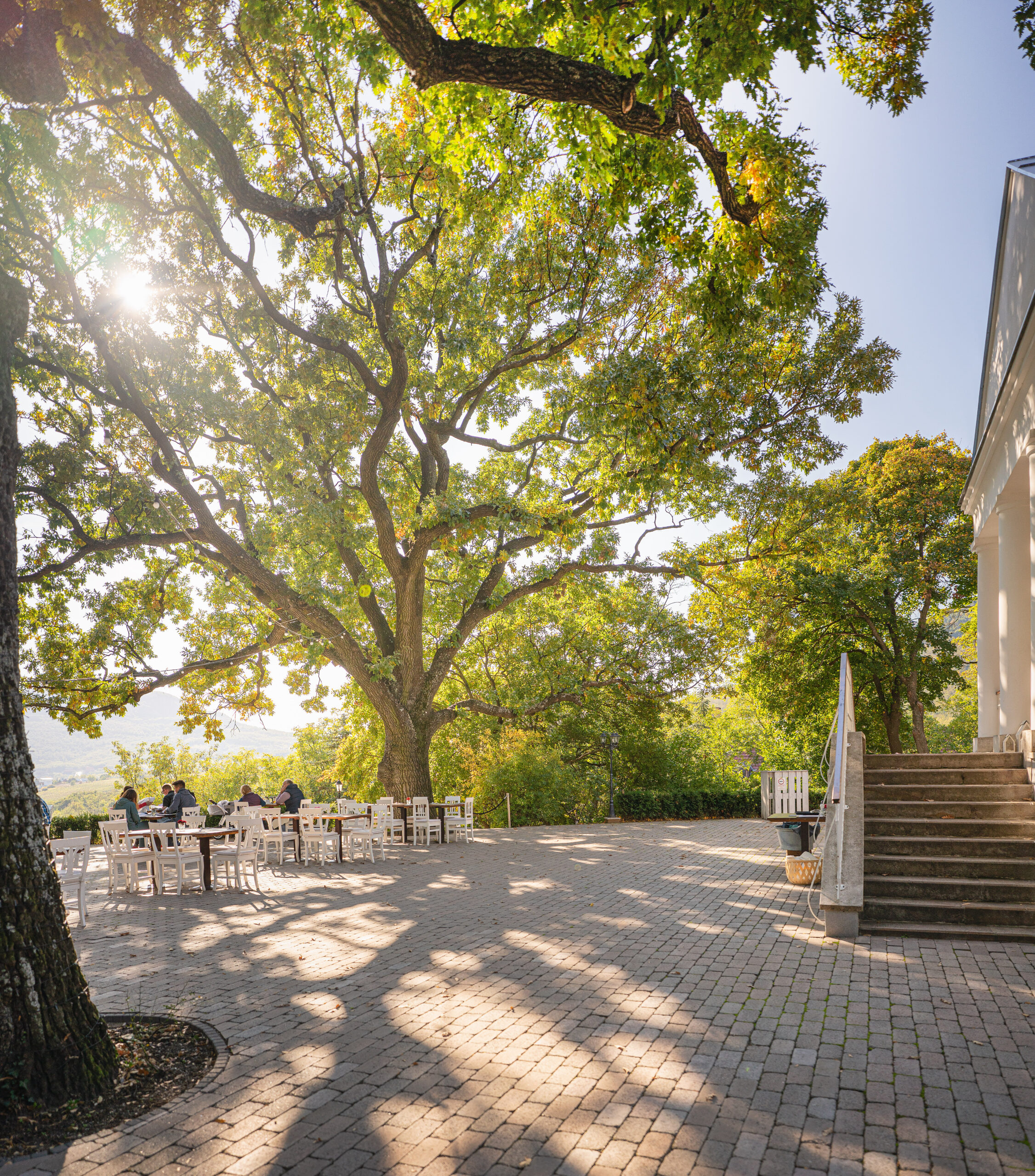 Amenajare spatii verzi Pun Invest.